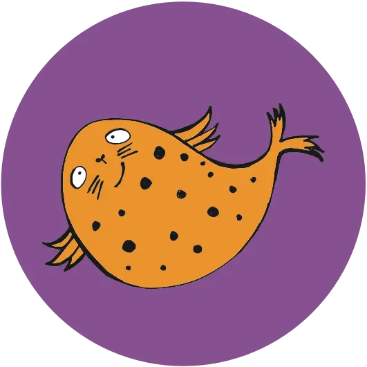 Spotted Seal Spotted Seal